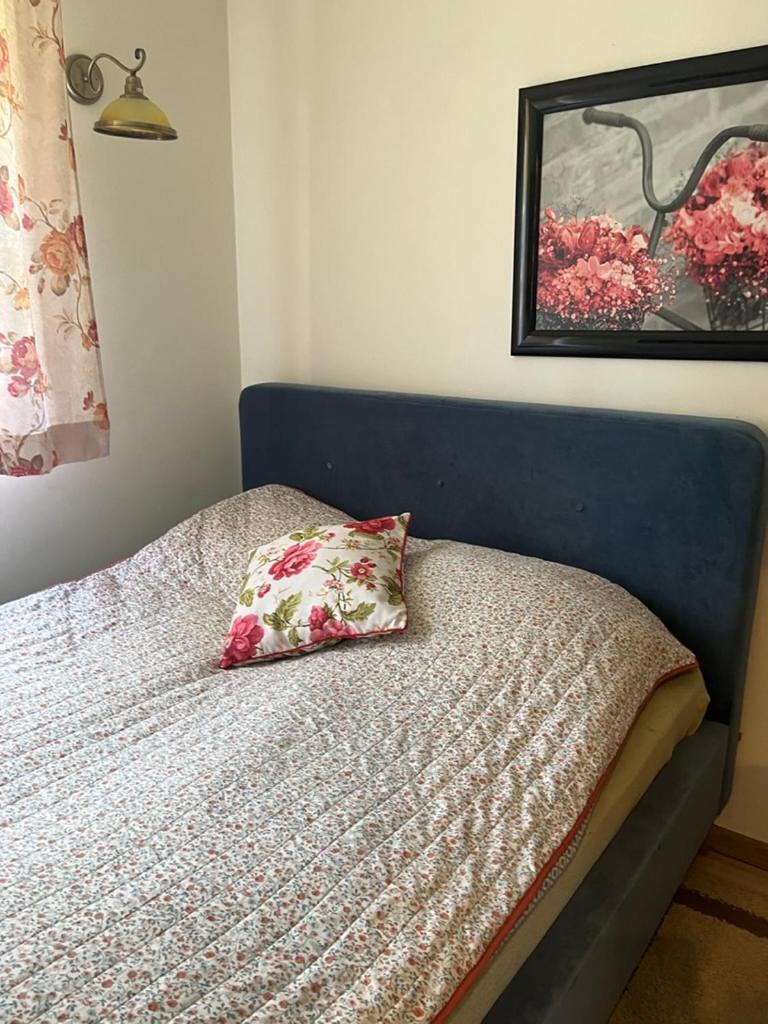 Siedlisko Kepina Zdroj Apartman Ostrow  Kültér fotó